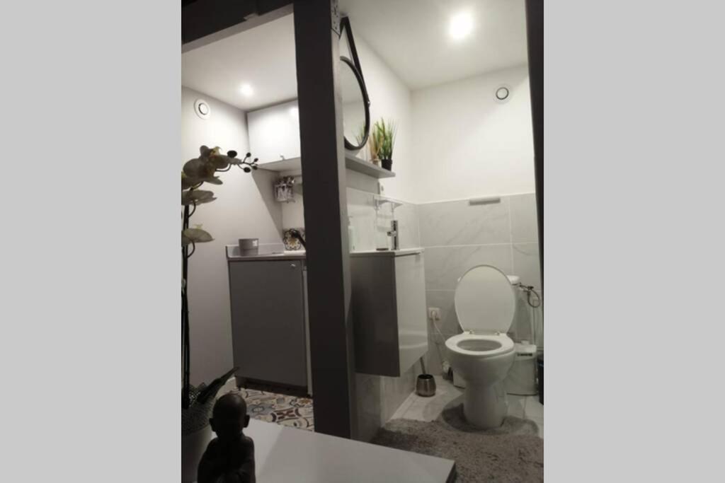 Apartment Studio Cosy Avignon